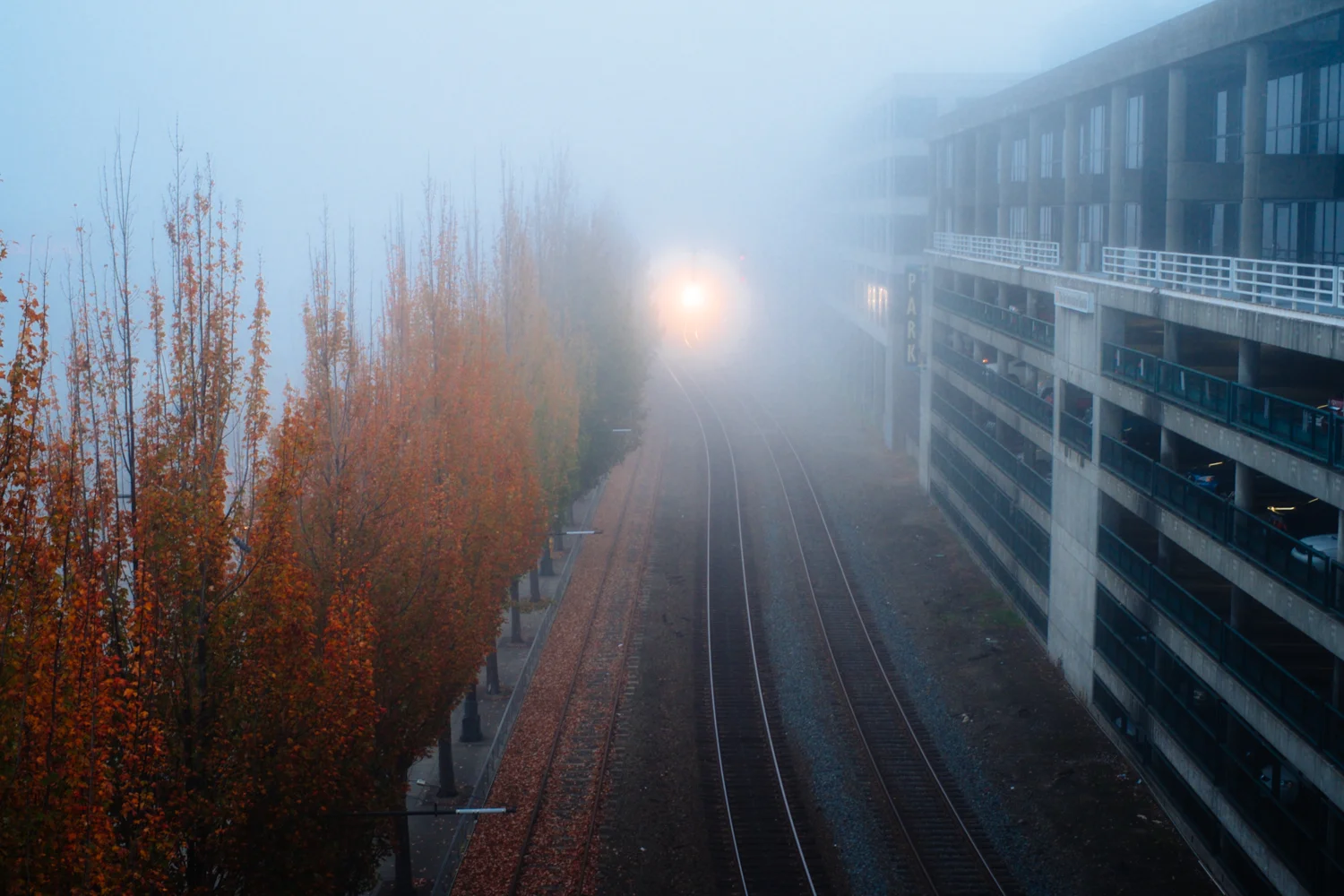 Seattle through the Fog