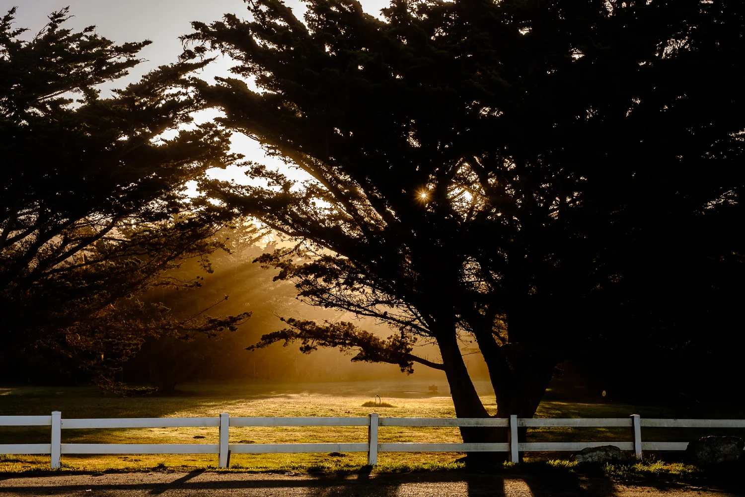 Long Weekend in Cambria