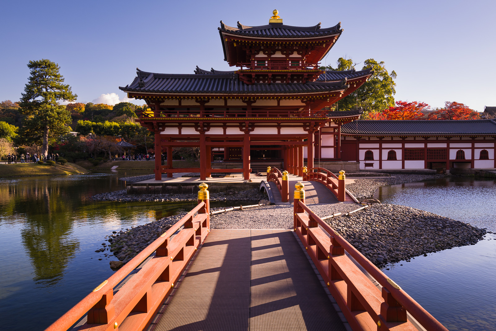 Uji