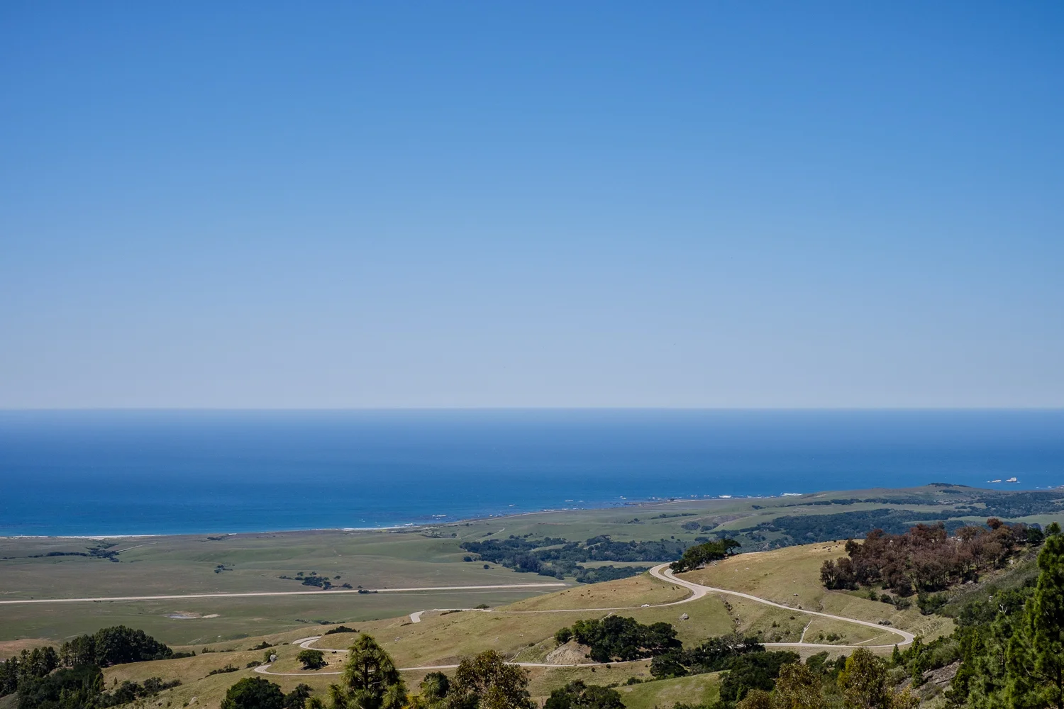 Hearst Castle