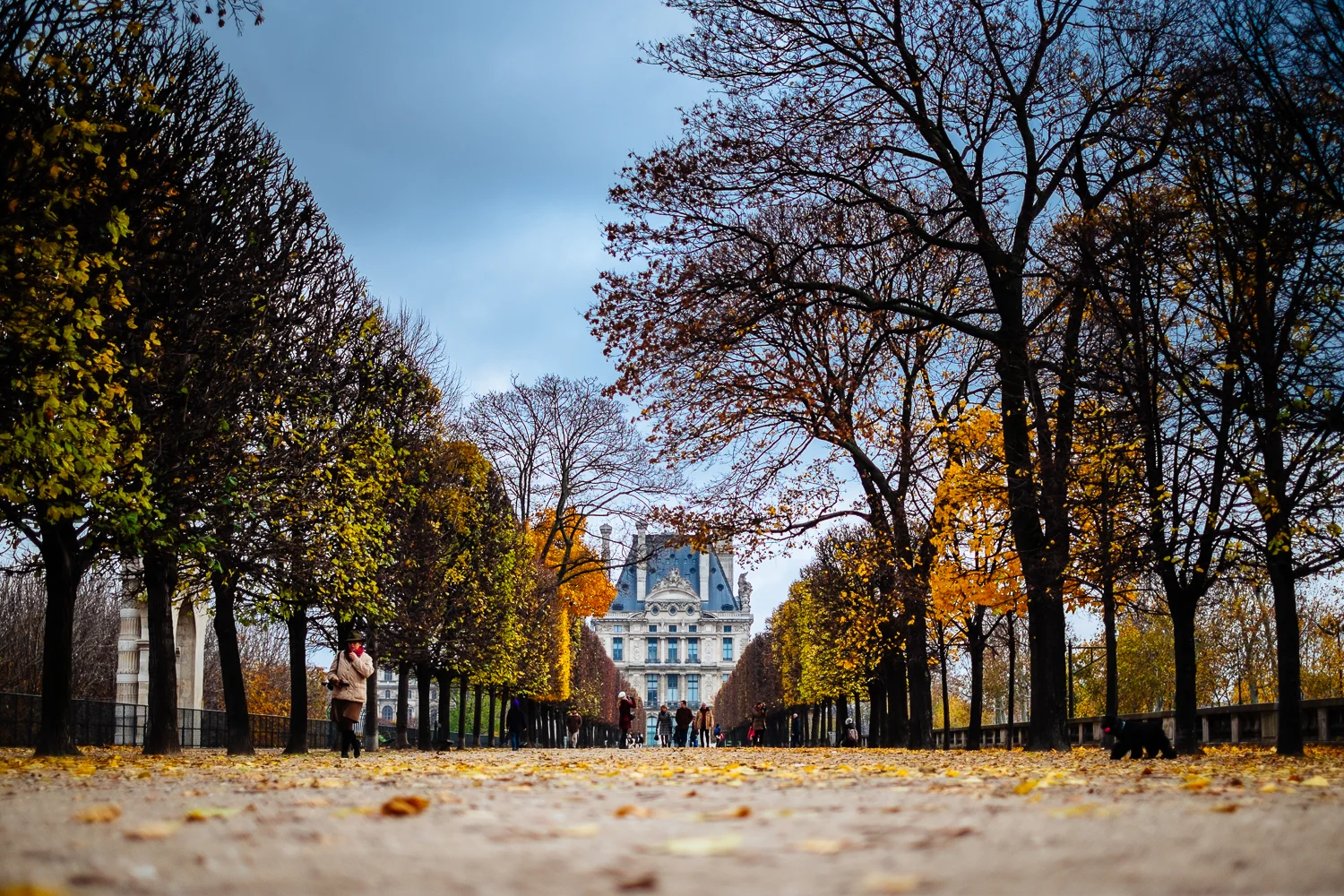 Jet lag, the Wall, and Random Images from Paris