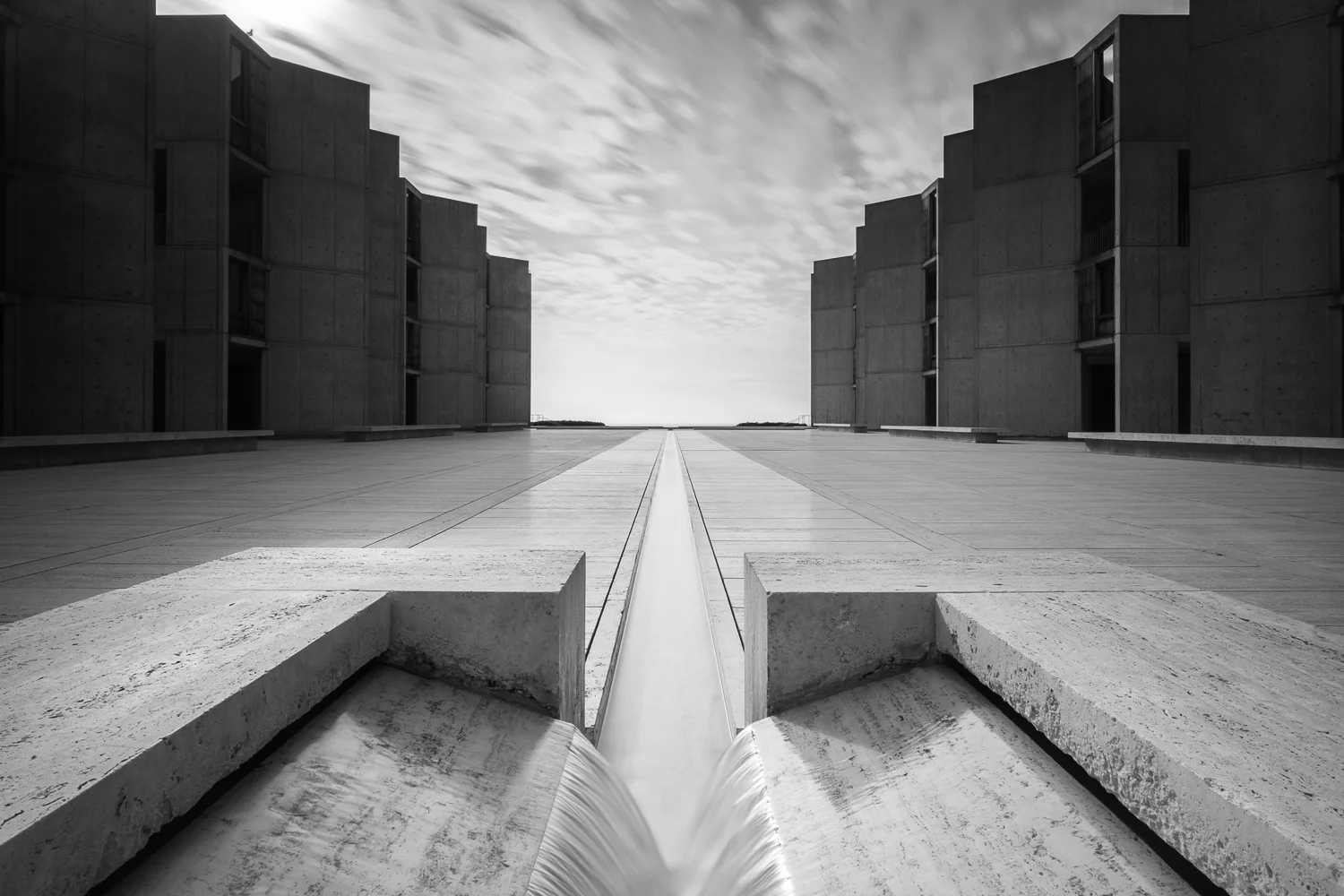 The Salk Institute